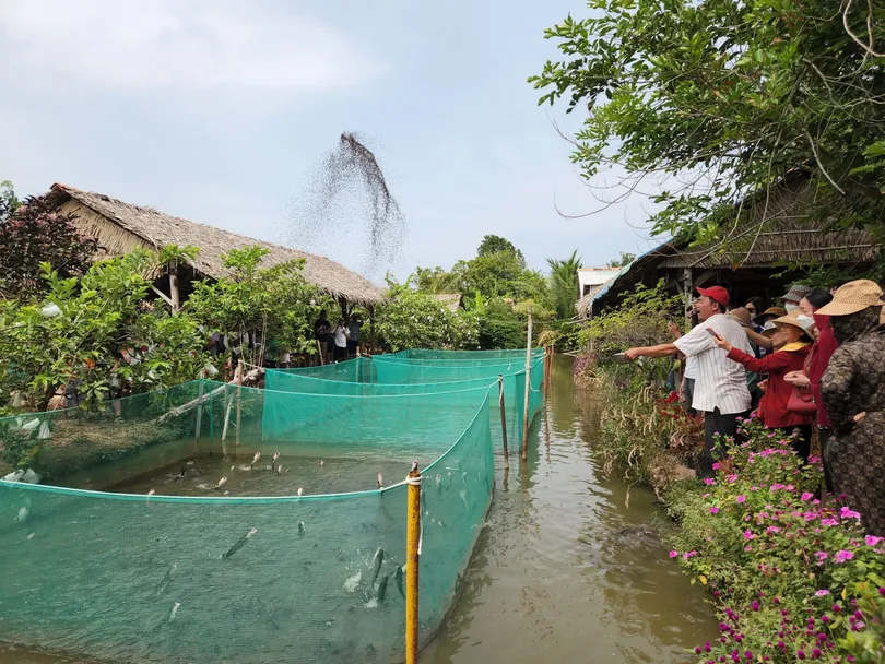 Phát triển, định vị thương hiệu sản phẩm nông nghiệp, dịch vụ nông thôn