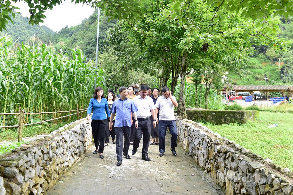 Đoàn công tác khảo sát tại Làng văn hóa du lịch Lũng Cẩm, xã Sà Phìn.