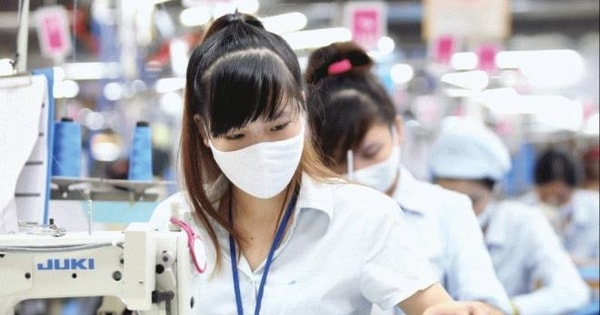 TP Hồ Chí Minh: Số lao động hưởng trợ cấp thất nghiệp giảm sâu