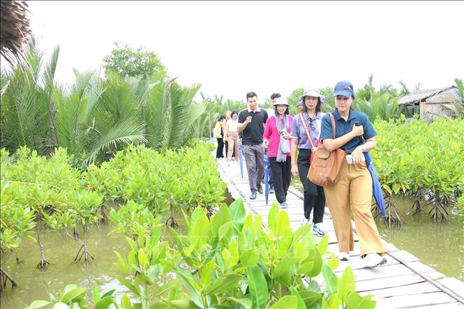 Vĩnh Long: Xu hướng xanh hóa trong ngành 'công nghiệp không khói' - Ảnh 3.