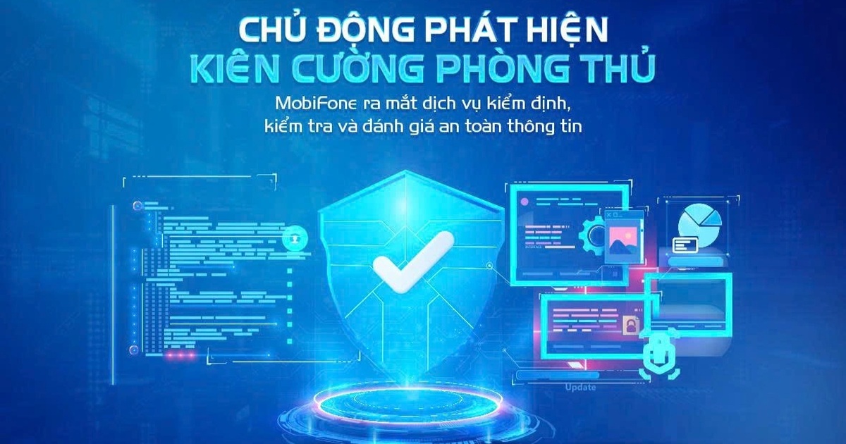 Respond to risks with information security testing, inspection and assessment services