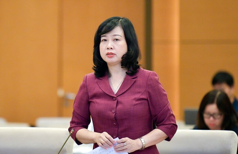 Bộ trưởng Bộ Y tế Đào Hồng Lan.