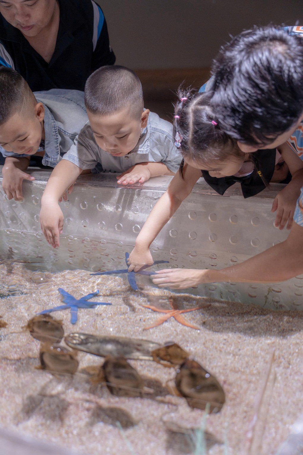 Thủy cung Lotte World Hà Nội đón vị khách thứ 1 triệu - 3