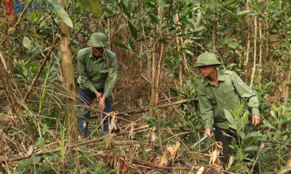 Quản lý, sử dụng và phát triển rừng bền vững