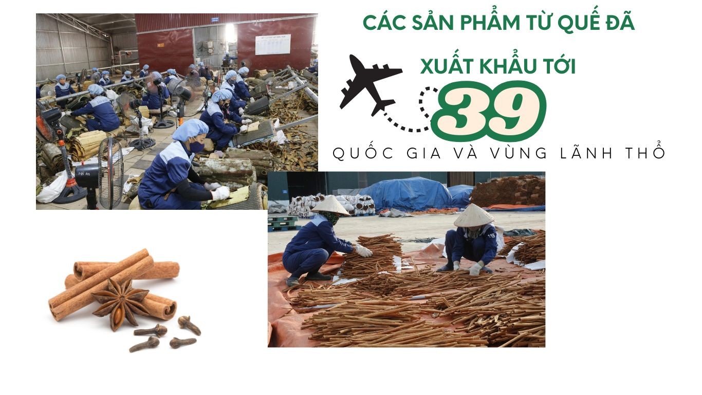 thu-vien-2-hinh-anh.jpg