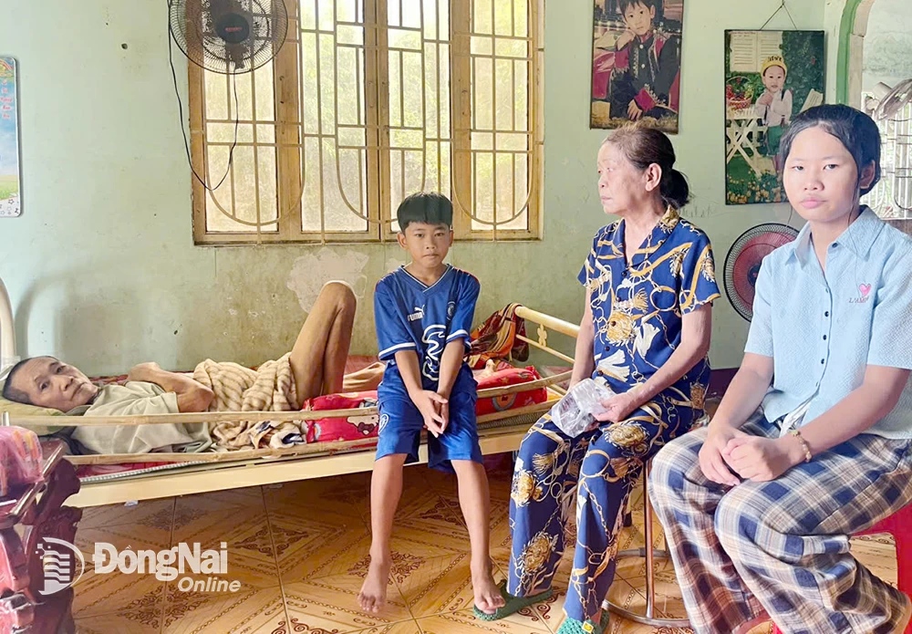 Gia đình 4 thành viên nhà bà Hoàng đang dần kiệt quệ vì bệnh tật, thiếu thốn. Ảnh: T.Hiền