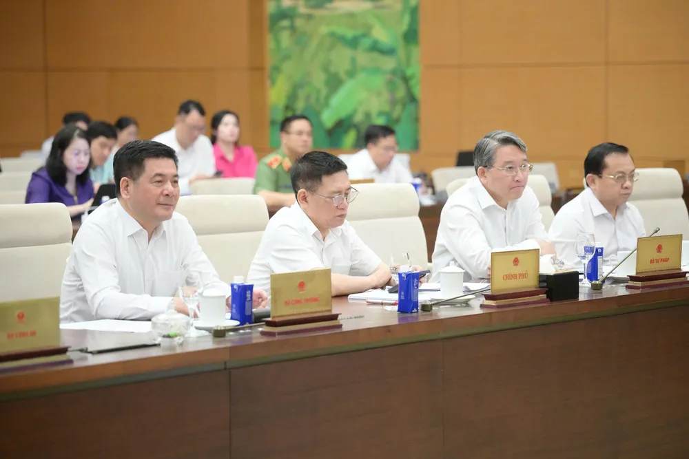 dự sáng CP.jpg