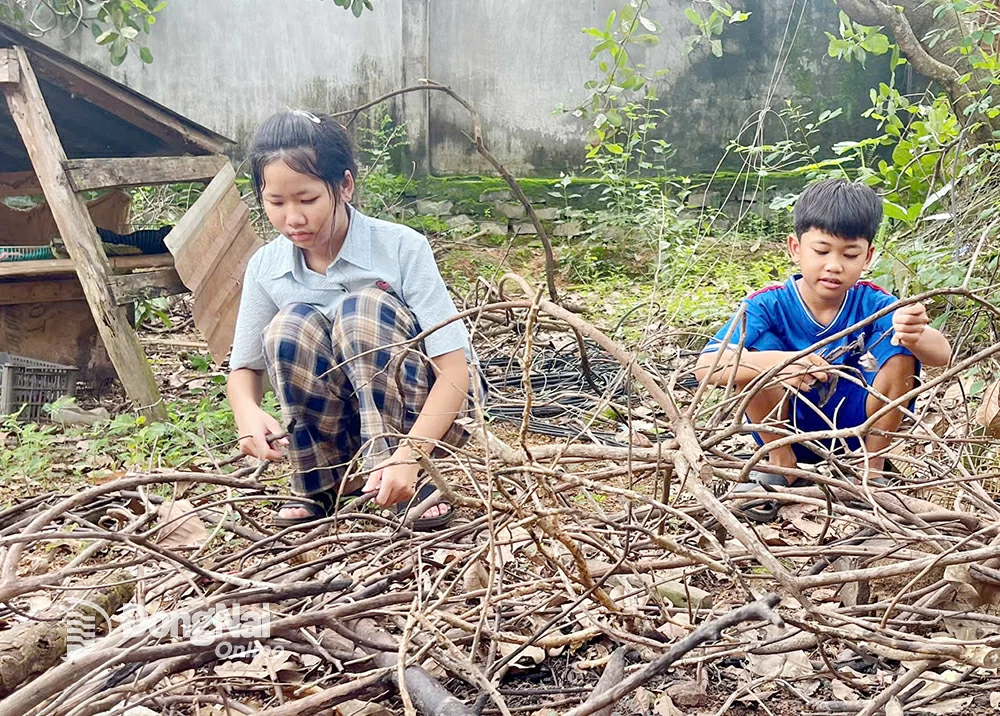 Chị em Vy phụ ông bà việc nhà. Ảnh: T.Hiền