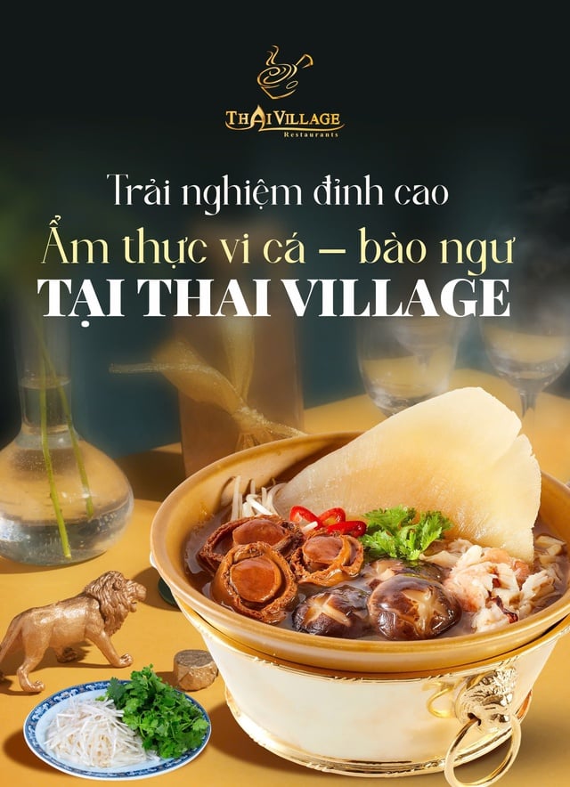 Trải nghiệm đỉnh cao ẩm thực vi cá - bào ngư tại Thai Village- Ảnh 1.