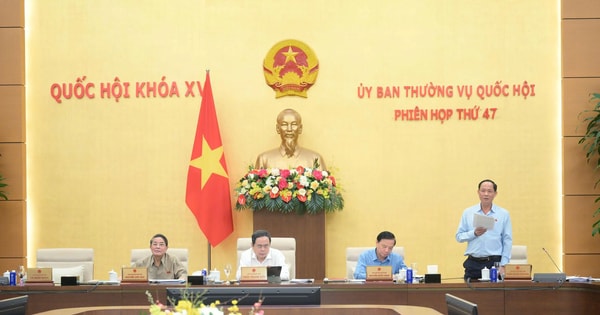 Khoảng 30% sinh viên tốt nghiệp không làm trong lĩnh vực được đào tạo