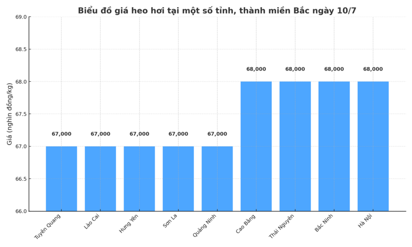 Giá heo hơi hôm nay 10/7/2025: Toàn thị trường giữ giá