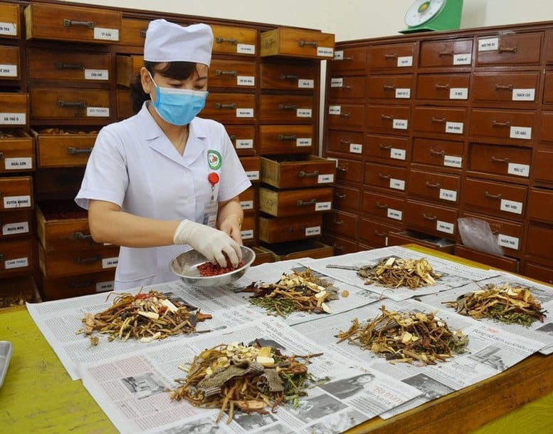 
Vị thuốc cổ truyền phải công bố tiêu chuẩn chất lượng trước khi lưu hành- Ảnh 1.