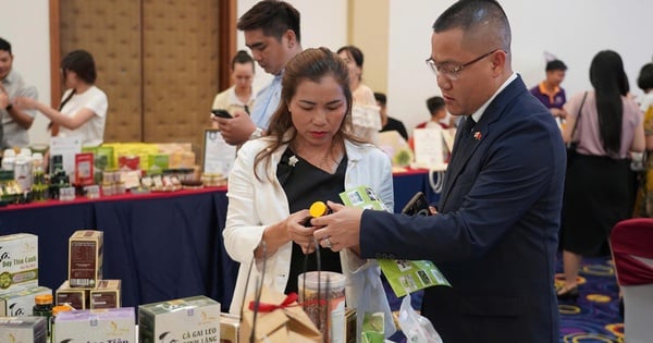 ភ្ជាប់អាជីវកម្មកណ្តាលខាងជើងជាមួយទីផ្សារអន្តរជាតិ