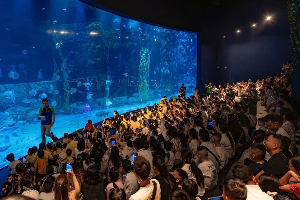 Thủy cung Lotte World Hà Nội đón vị khách thứ 1 triệu - 1