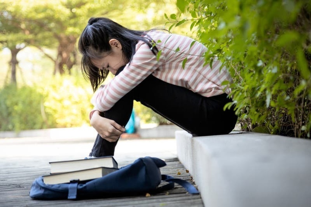 Lý do nhiều học sinh bị khủng hoảng sau kỳ thi? - 2