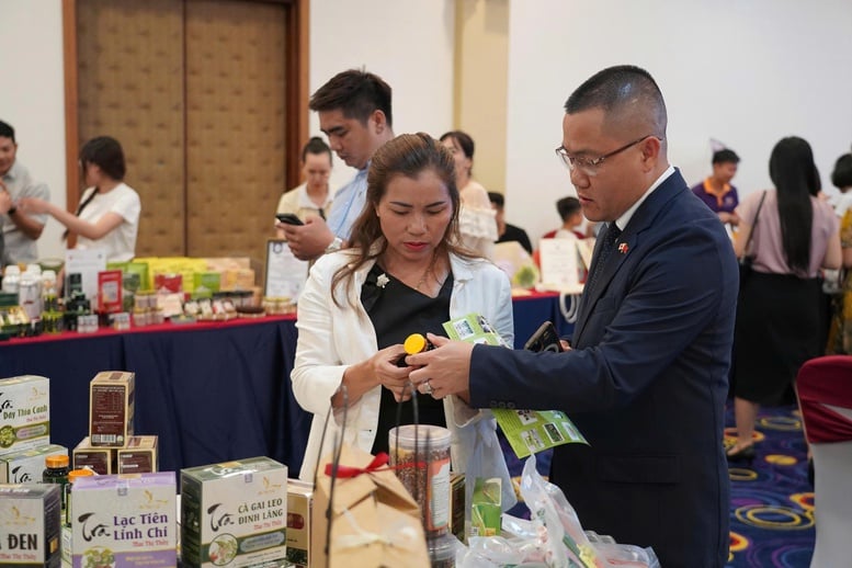Kết nối doanh nghiệp Bắc Trung Bộ với thị trường quốc tế- Ảnh 2.