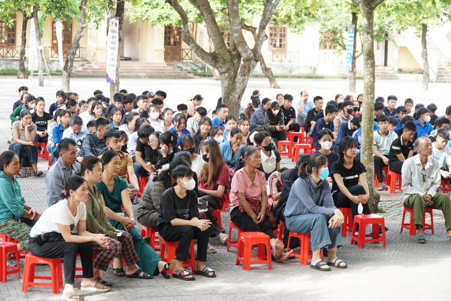 tu-van-chon-mon-hoc-2.jpg
