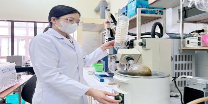 Staff of the Institute of Chemistry extract active ingredients from the vông tree to prepare a product to support diabetes treatment. (Photo: MINH DUY)