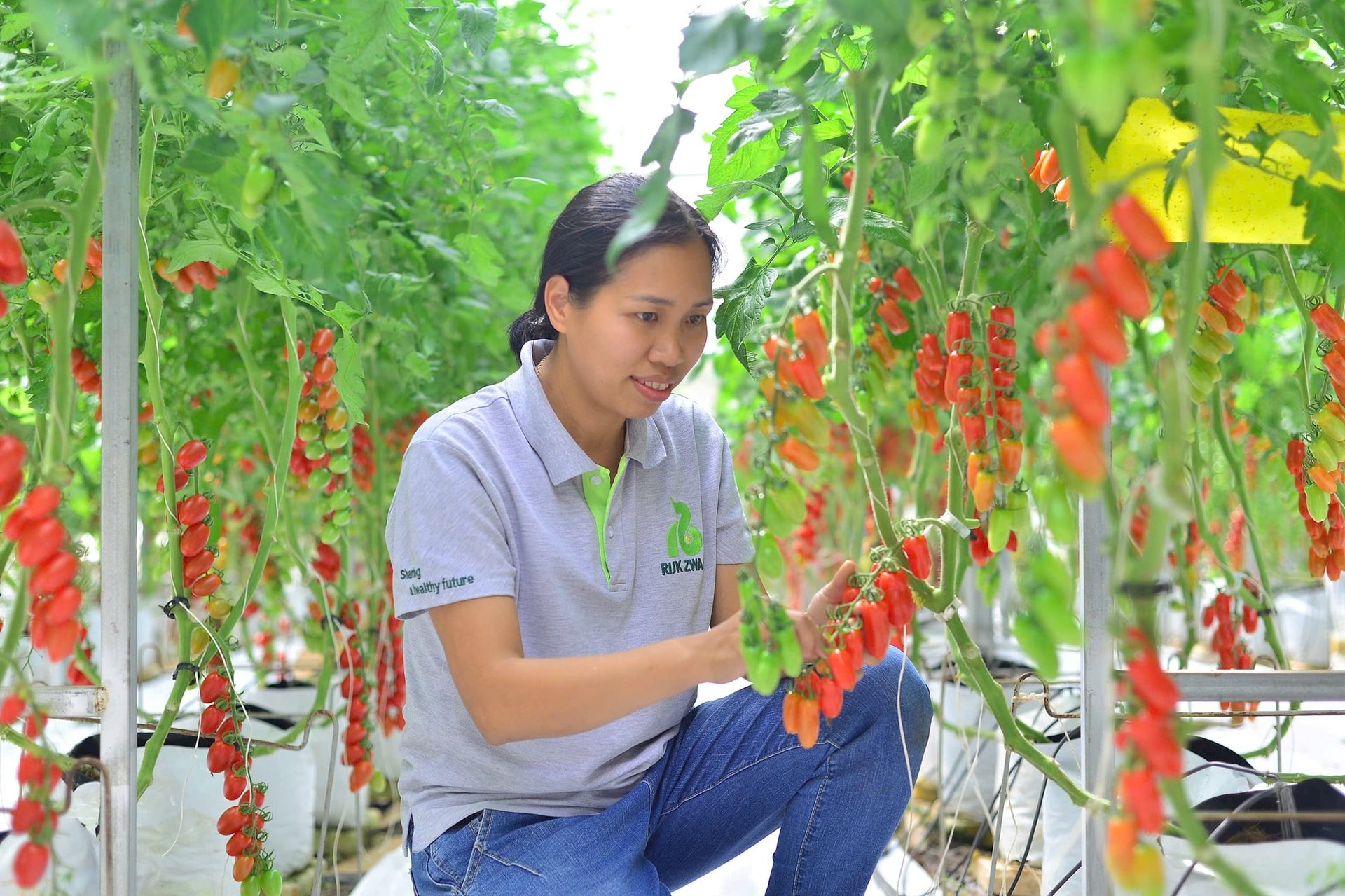 Agricultural photo 1