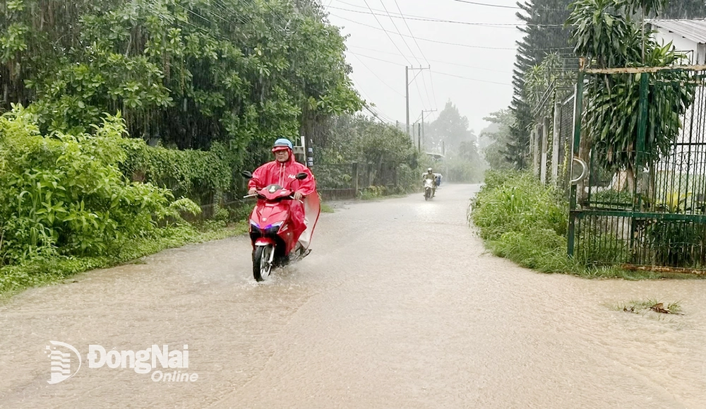 ប្រជាជន​ធ្វើ​ចលនា​នៅ​ក្នុង​ឃុំ Dau Giay។ រូបថត៖ គីម លៀវ