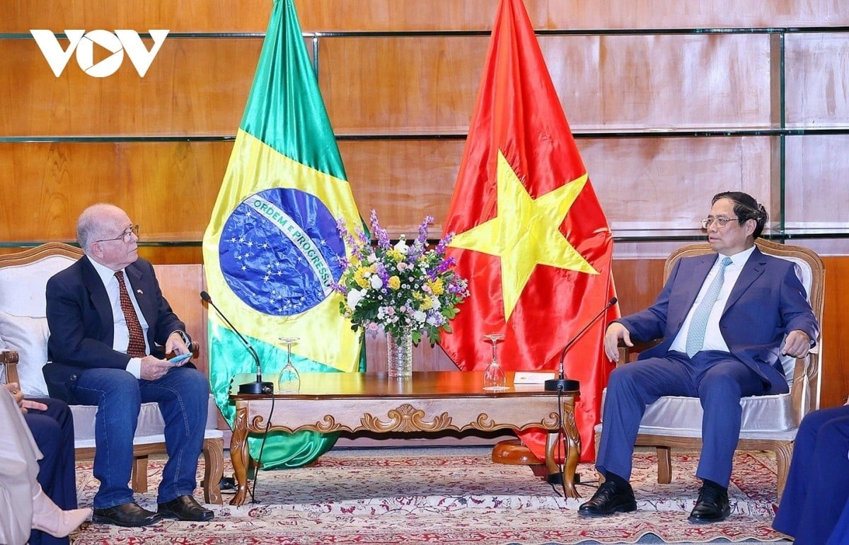 Hội hữu nghị và hợp tác Việt Nam - Brazil: Dấu ấn sáng tạo trong nhiệm kỳ 2016-2025