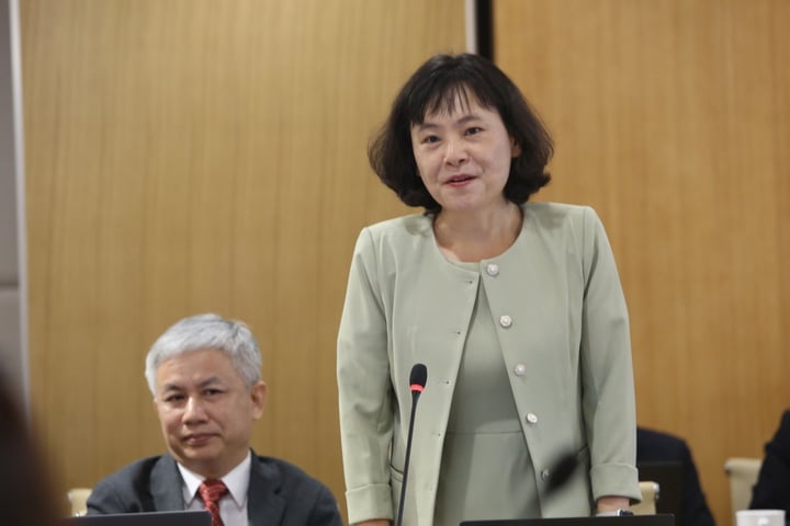 Bộ trưởng Nguyễn Mạnh Hùng: Cần một tổng công trình sư về thể chế cho chuyển đổi số quốc gia - Ảnh 6.