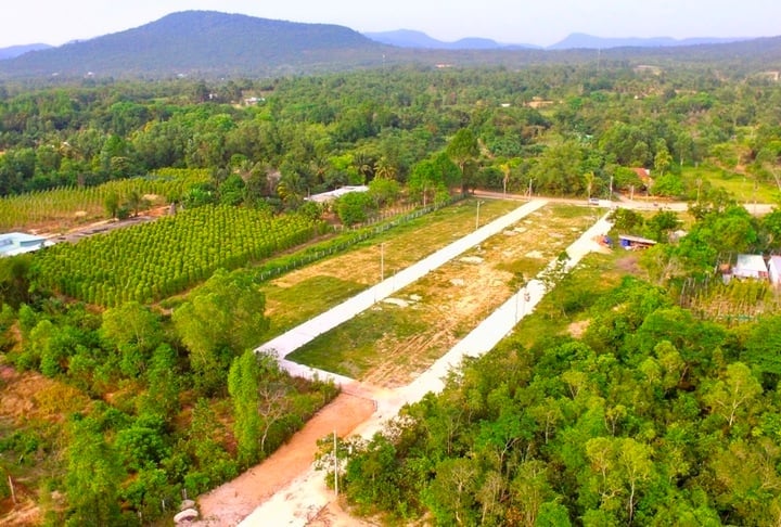 Phí chuyển đổi đất nông nghiệp sang đất ở cần linh hoạt.