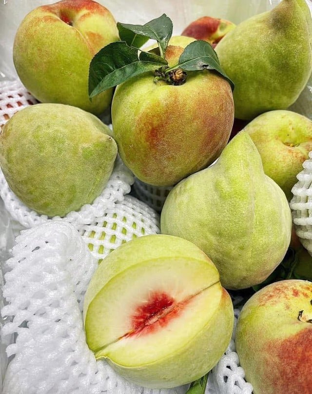 Đào mỏ quạ vào mùa giá siêu rẻ, cách đơn giản để chị em rủ nhau ‘săn’ hàng ngon, tránh hàng Trung Quốc- Ảnh 4.