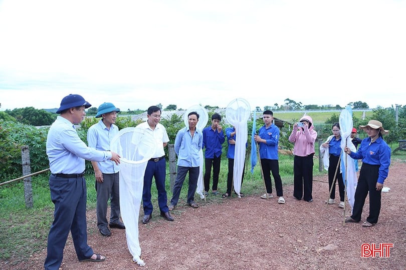 Ông Nguyễn Tuấn Lộc - Giám đốc Trung tâm Bảo vệ thực vật vùng khu IV hướng dẫn một số biện pháp diệt châu chấu tre tại xã Cẩm Hưng.