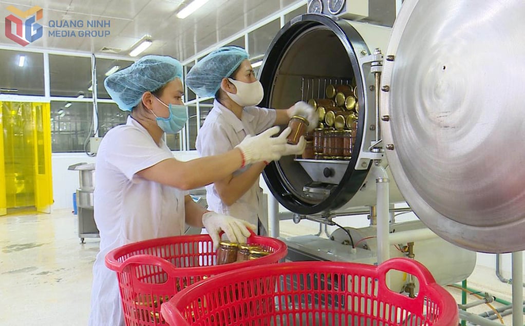 Công ty TNHH Sản xuất & Thương mại Thủy sản Quảng Ninh (BAVABI) đầu tư thiết bị công nghệ hiện đại, đáp ứng các quy chuẩn an toàn để phát triển sản phẩm OCOP 5 sao.