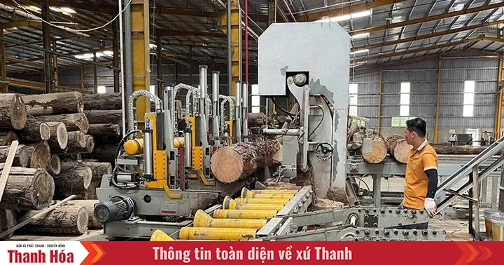 Quan tâm đầu tư cơ sở hạ tầng thúc đẩy khu vực miền núi phát triển