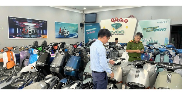 Phát hiện cửa hàng kinh doanh xe điện có dấu hiệu buôn hàng giả