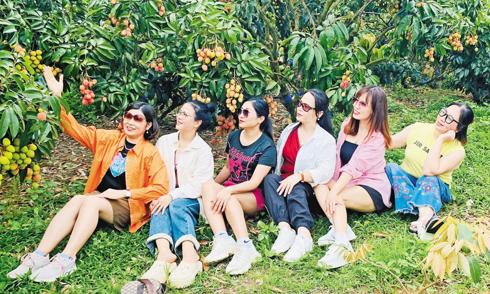 Nhà vườn hút khách tham quan