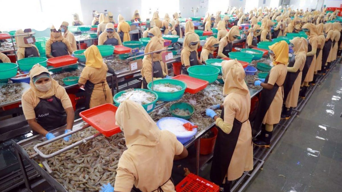 Thủy sản là một trong những ngành hàng xuất khẩu chủ lực sang thị trường EFTA.