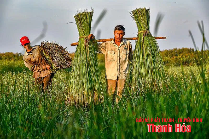 ប្រកបរបរចិញ្ចឹមជីវិត
