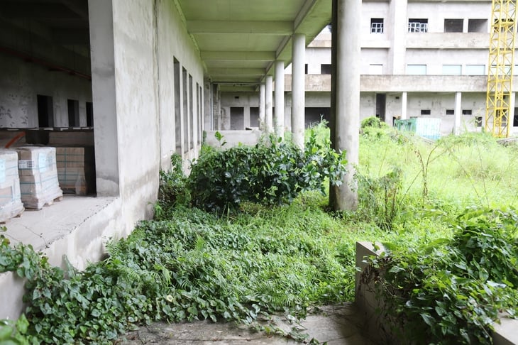 Cần Thơ - Ảnh 3.