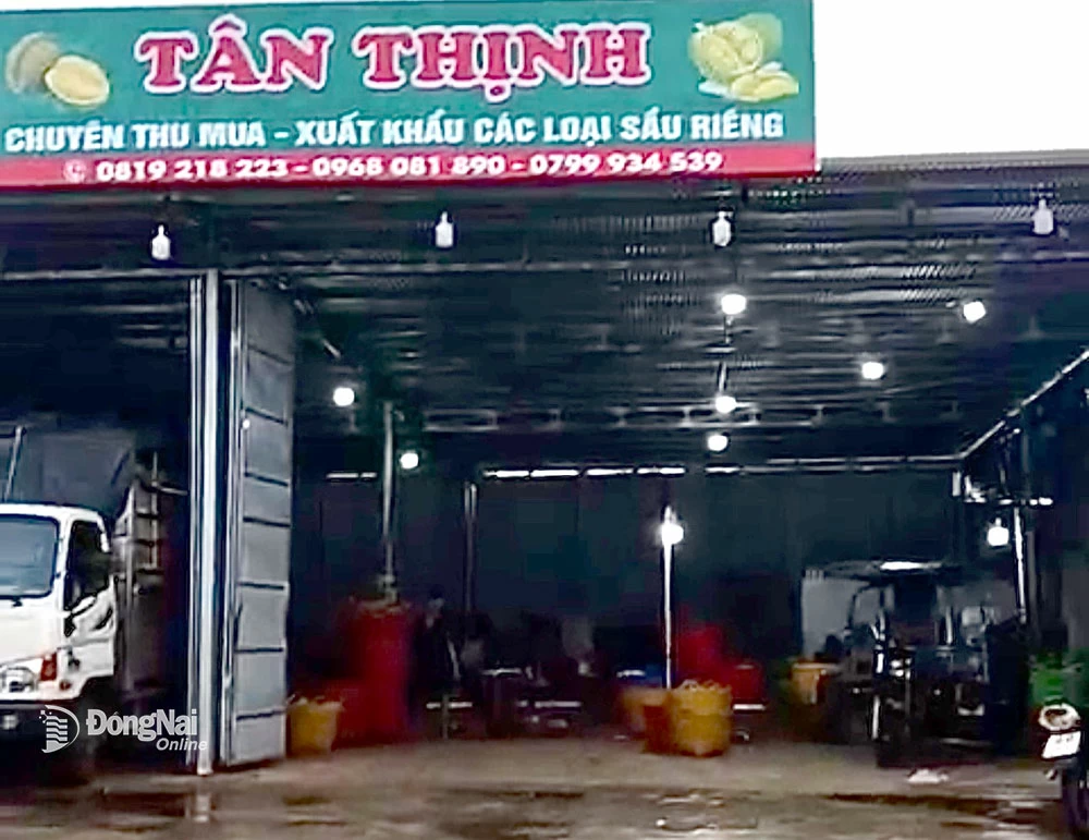 ឃ្លាំងនាំចេញទុរេនជាច្រើននៅក្នុងសង្កាត់ Long Khanh កំពុងដំណើរការក្នុងកម្រិតទាប។