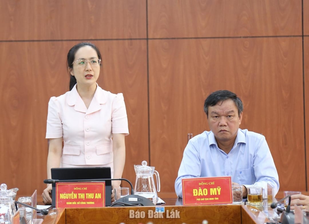 Giám đốc Sở Công thương Nguyễn Thị Thu An phát biểu tại buổi làm việc