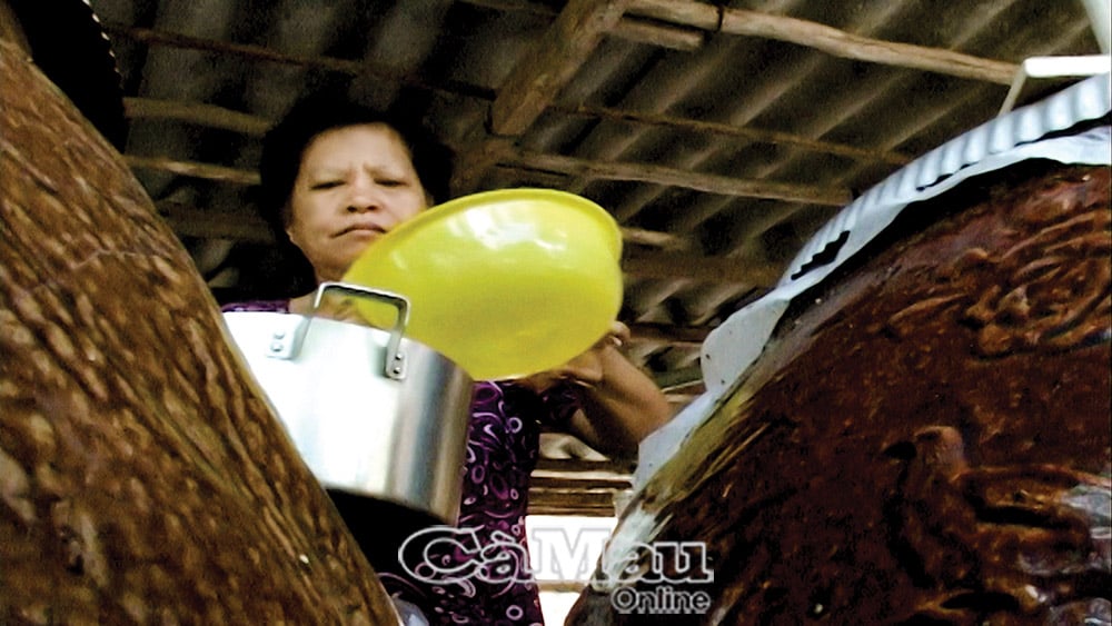 Biển Bạch khát nước.