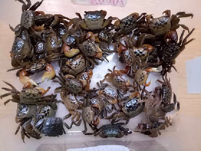 Không phải nước rau muống luộc, nhộng rang ăn với món canh này ngon nhất- Ảnh 4.