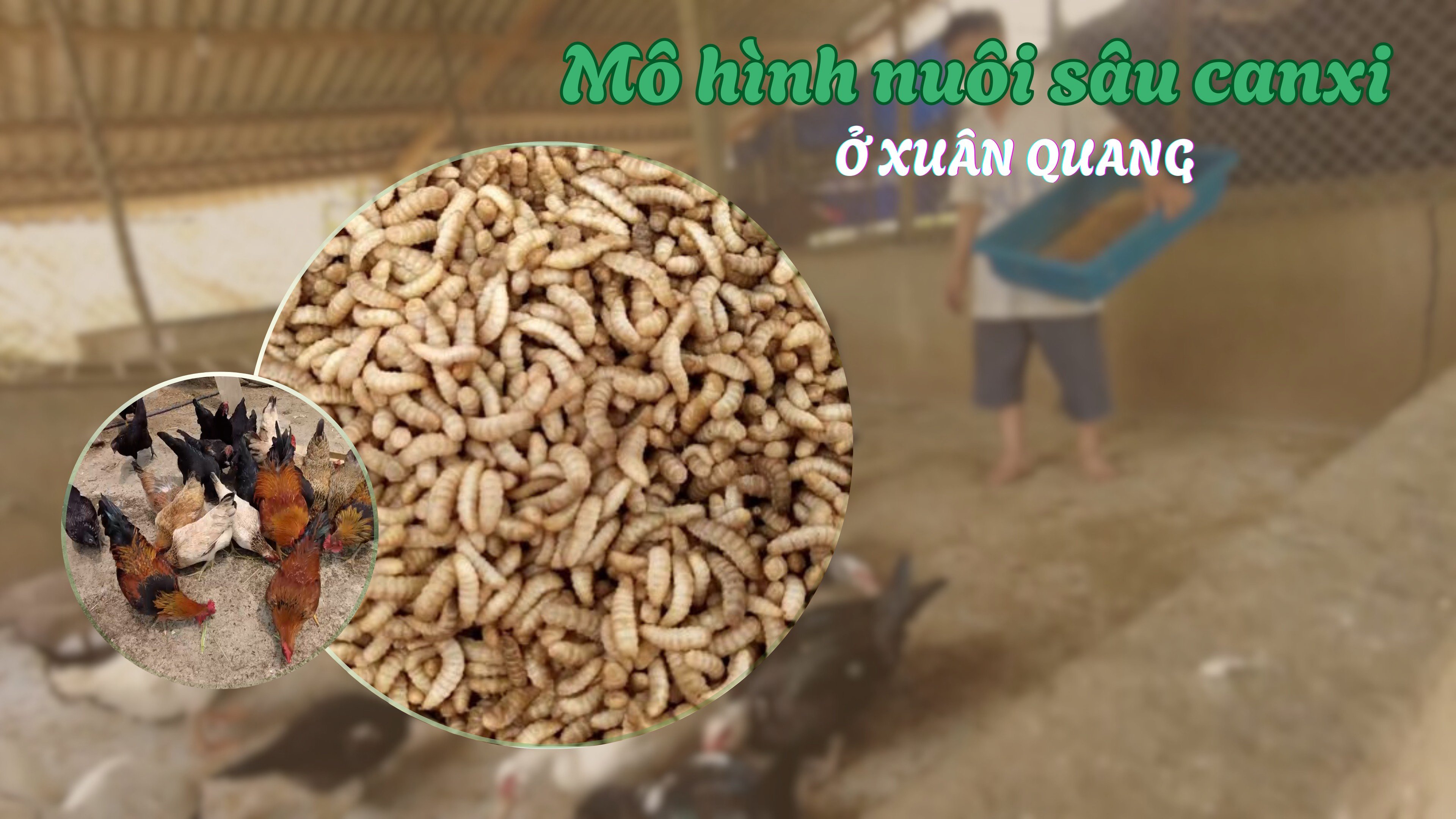 green-and-white-simple-agrifarm-presentation.png