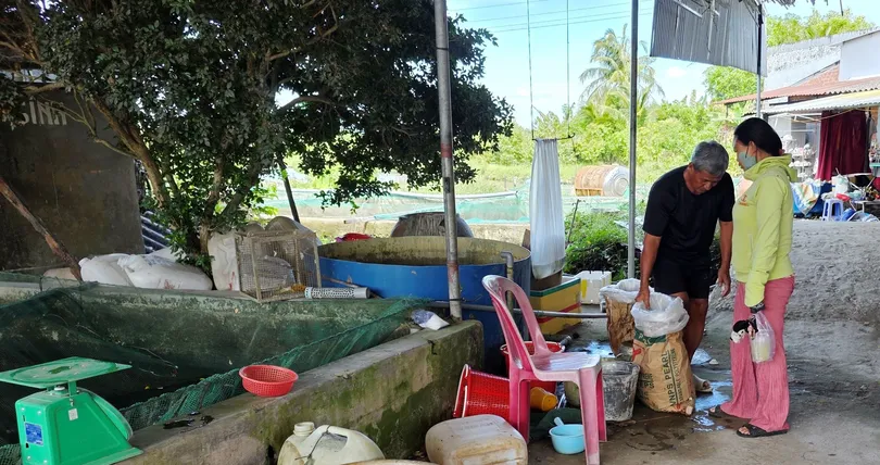 តម្លៃត្រីចាប់ផ្តើមកើនឡើង