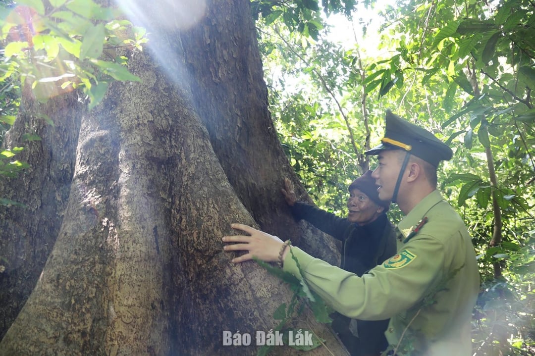 Người dân xã Quảng Phú và cán bộ kiểm lâm tuần tra bảo vệ rừng Cư Hlăm