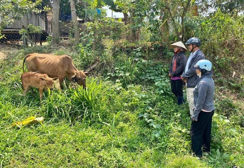 Xóa 'lõi nghèo' vùng đồng bào DTTS và miền núi - 
Bài 1: Thu hẹp khoảng cách phát triển- Ảnh 5.