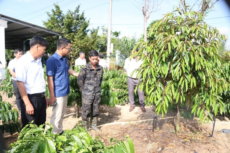 Xóa ‘lõi nghèo’ vùng đồng bào DTTS và miền núi - Bài 2: Nỗ lực lớn, quyết tâm cao- Ảnh 2.