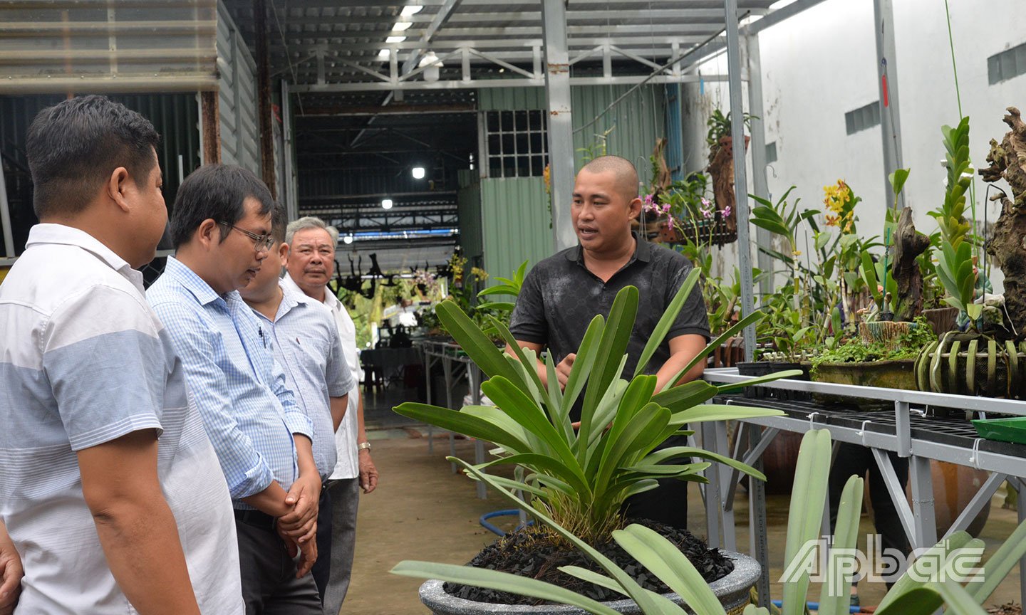 Anh Hoàng Nhân, xã Vĩnh Bình sẵn sàng chia sẻ kỹ thuật chăm sóc hoa lan cho những ai có nhu cầu.