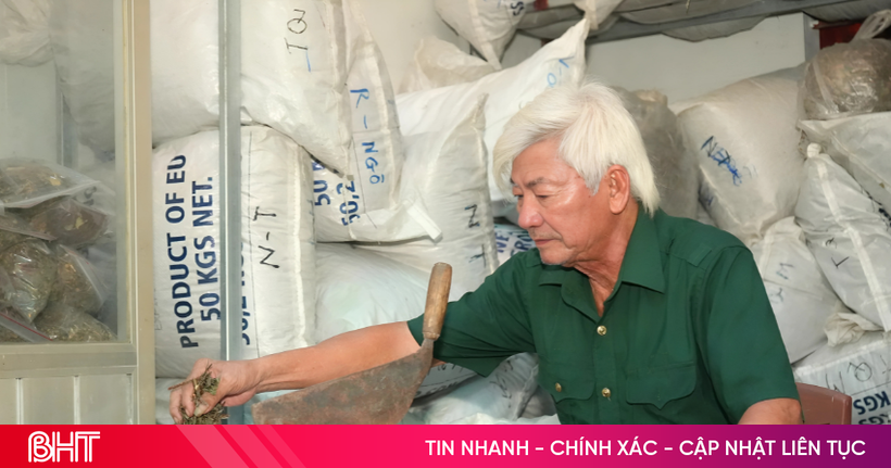 Chuyện lương y Nguyễn Cao Niên "mát tay" chữa bệnh
