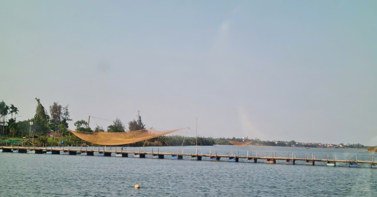 Sức hút từ những “ốc đảo” xanh xứ Quảng