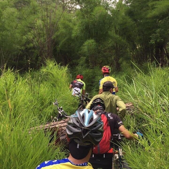 Visit Yok Don National Park and join mountain byke challenge 