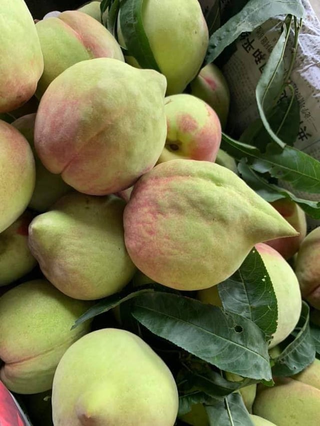 Đào mỏ quạ vào mùa giá siêu rẻ, cách đơn giản để chị em rủ nhau ‘săn’ hàng ngon, tránh hàng Trung Quốc- Ảnh 3.